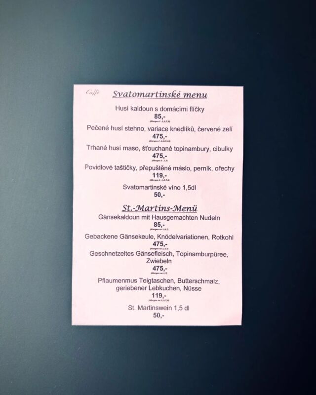 V sobotu 11.11.2023 od 11 hodin v Caffé11 začínáme se svatomartinským menu 😍